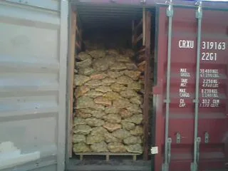 Potato